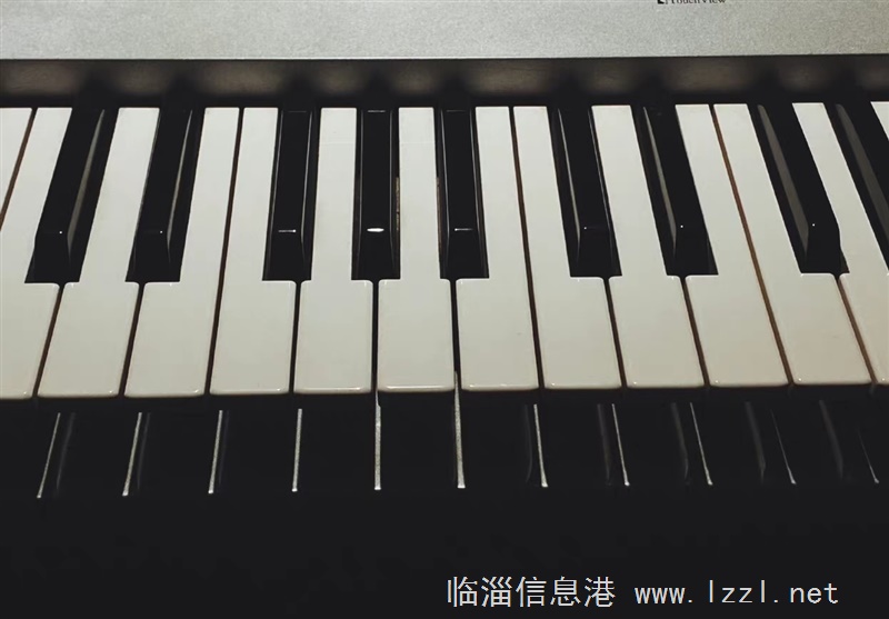 樂(lè)器陪練老師數(shù)名